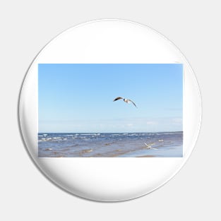 White seagull flying above the water Pin