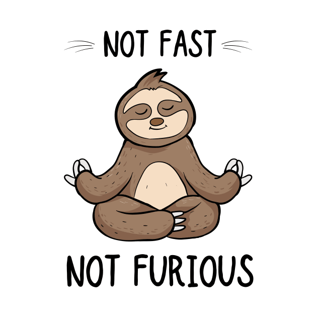 Not Fast Not Furious Tshirt, Funny Shirt, Sloth Yoga Shirt by Salasala