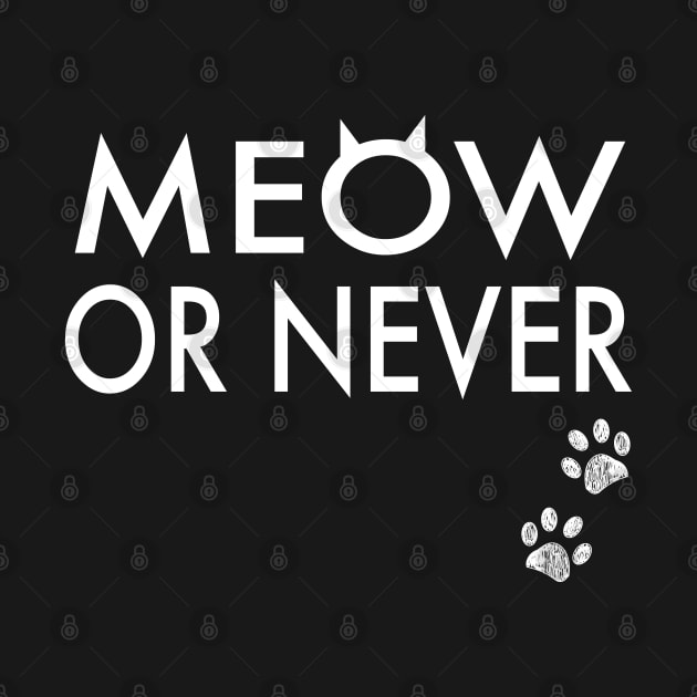 Meow or never by GULSENGUNEL
