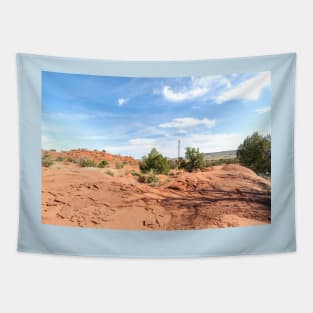 Desert scene Tapestry