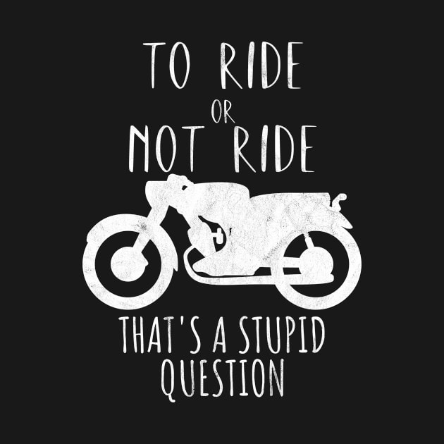 Motorcycle ride or not ride stupid question by maxcode