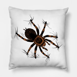 Spider lover - climbing tarantula Pillow