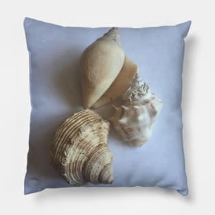 seashell Pillow
