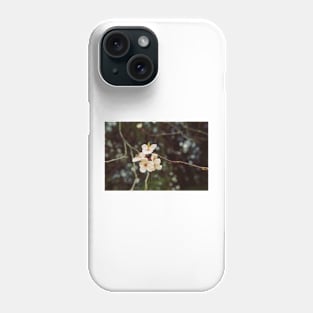 Hanami 2 Phone Case