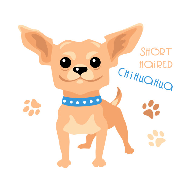 Cartoon Chihuahua | wallpaperzen.org