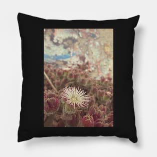 Succulent Flower Blooming Pillow