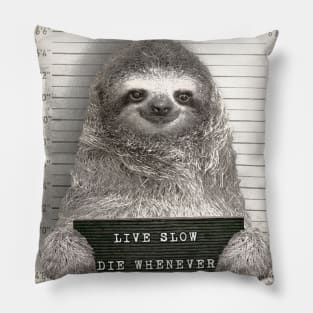 Sloth in a Mugshot - Print / Home Decor / Wall Art / Poster / Gift / Birthday / Sloth Lover Gift / Animal print Canvas Print Pillow