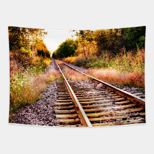 Railway Tracks 1 Tapestry