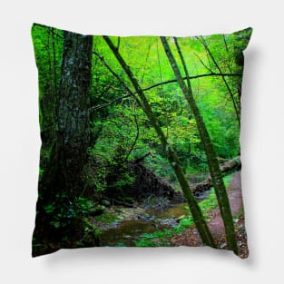 Scenery from Sarnano with the path to Cascata del Pellegrino with river, rocks, tree, trunks, greenery Pillow