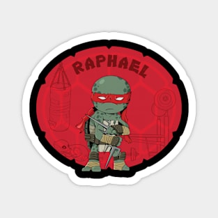 Raphael Magnet