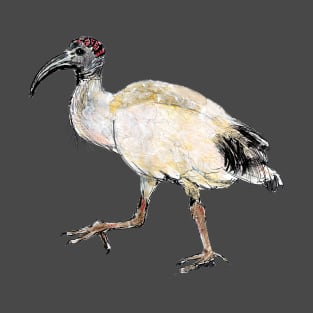 Sacred Ibis T-Shirt