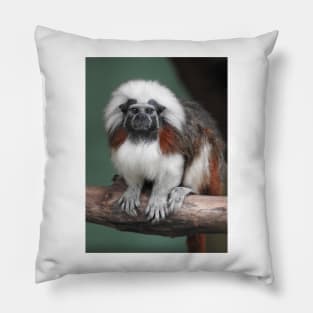 Cotton-top Tamarin Pillow