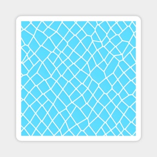Abstract Geometric Water Pattern Magnet