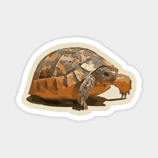 Cartoon Portrait Of A Baby Wild Tortoise Black Outline Art Magnet