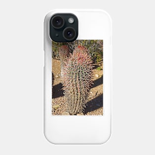 Desert Study 27 Phone Case