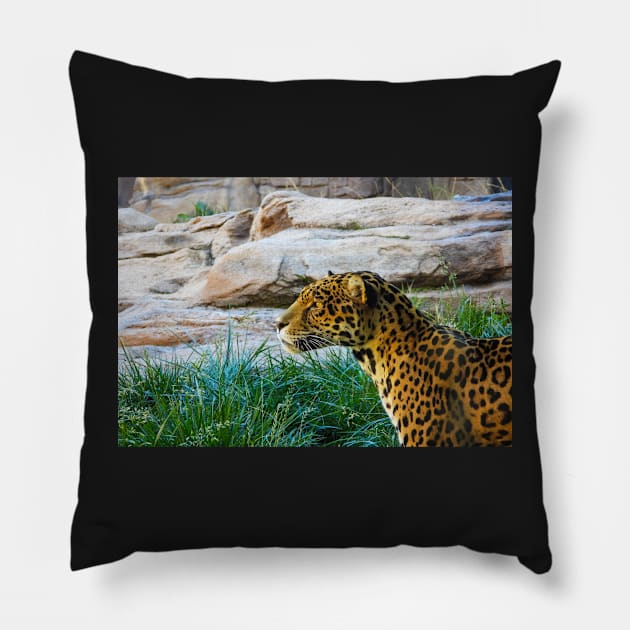 Leopard Pillow by Ckauzmann