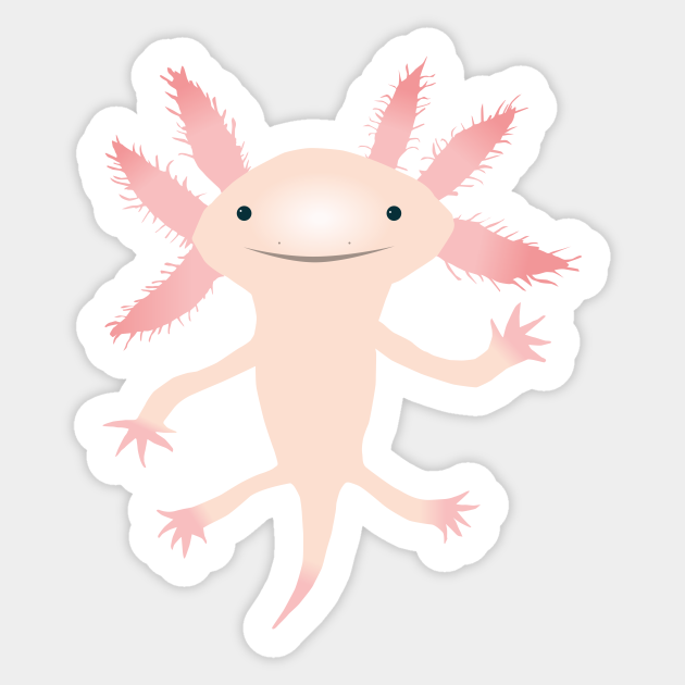 Axolotl Vector Illustration Axolotl Autocollant Teepublic Fr