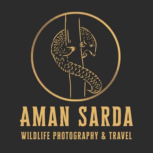 Wild Traveller profile image