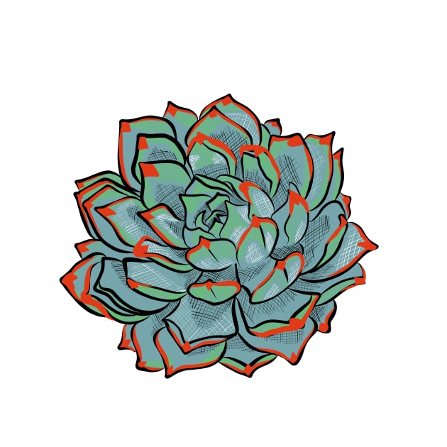 Botanical Nature Inspired Succulent Illustration by annaleebeer