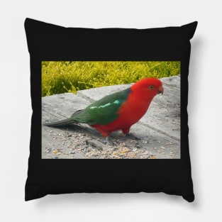 Australian King Parrot Pillow