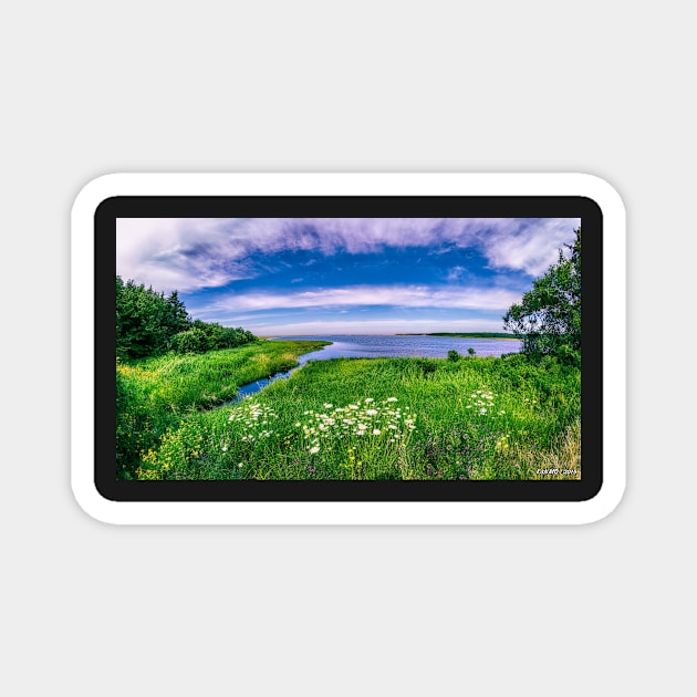 Celtic Shores Coastal Trail 02 Magnet by kenmo