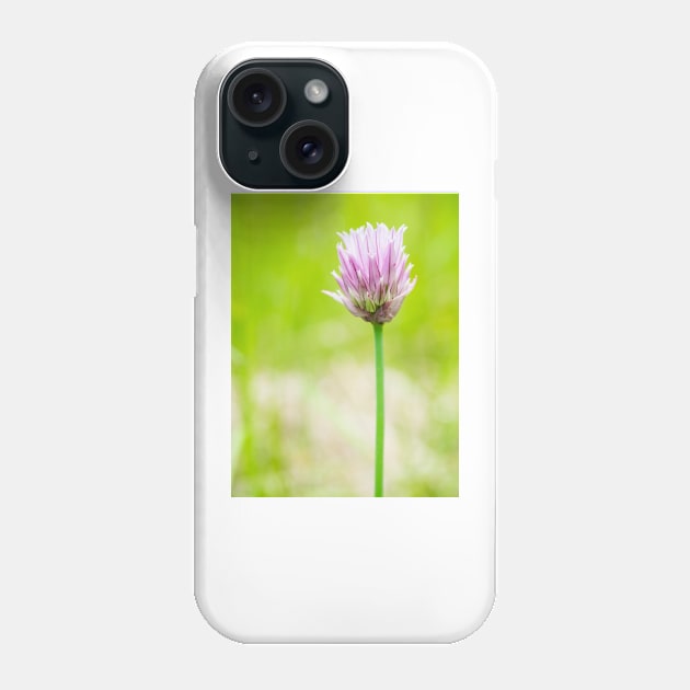 Chives Phone Case by ansaharju