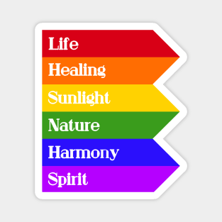 The Meaning of Pride (Modern) Magnet