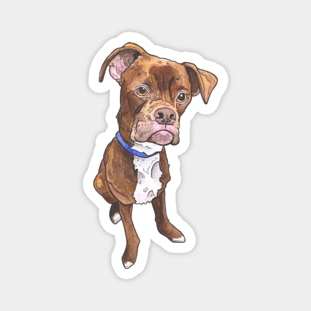 Best Boxer Magnet by Reel Fun Studios