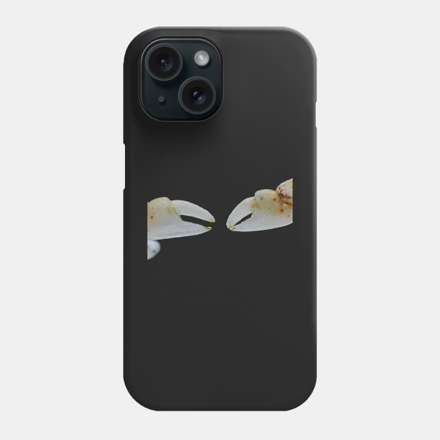 Tiny crab claws Phone Case by SDym Photography