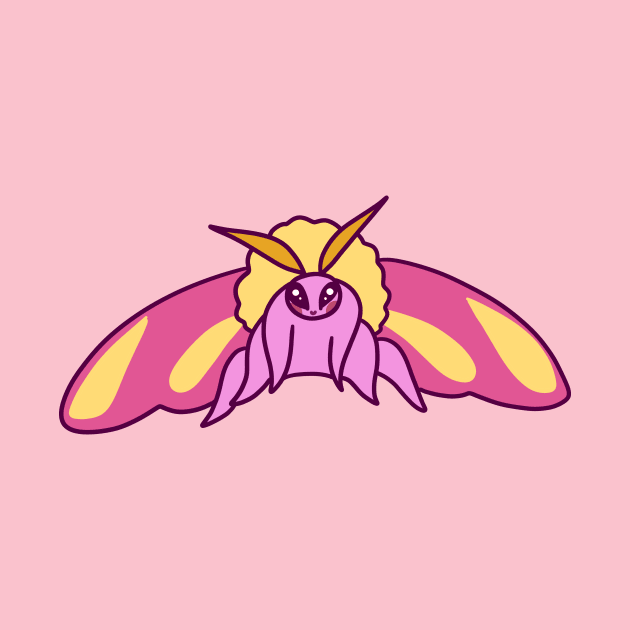 Rosy Maple Moth by saradaboru