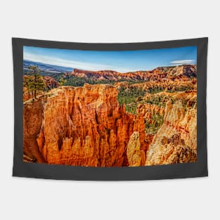 Bryce Canyon National Park Tapestry