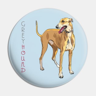 Dog breed Greyhound Pin