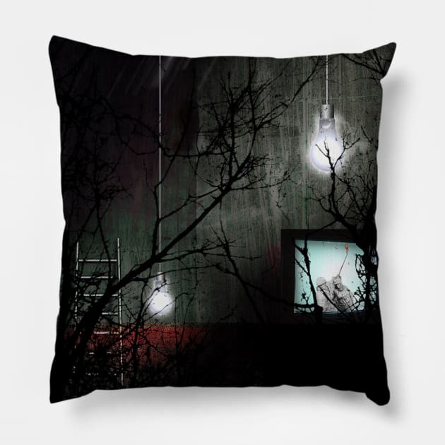 Dark room Pillow by rolffimages