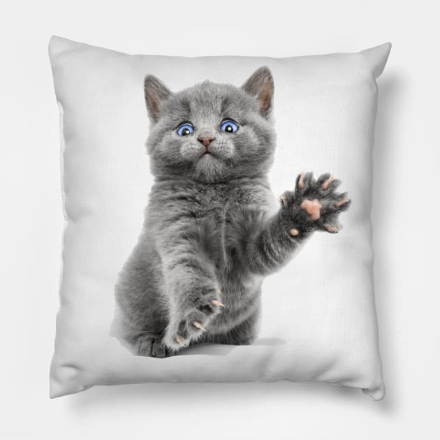 Oh Kitty! Surprised Cat. Pillow by cameradog