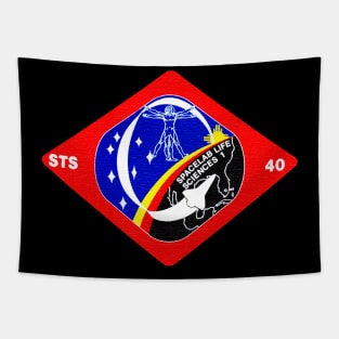 Black Panther Art - NASA Space Badge 29 Tapestry