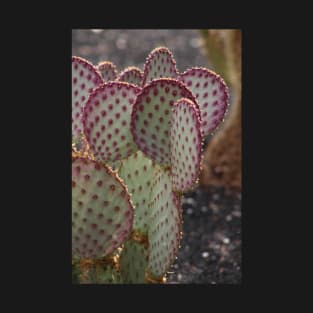 Closeup of Purple Cactus T-Shirt