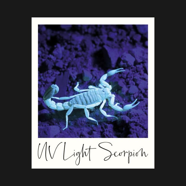 Scorpion UV Light Photo by BlueTodyArt