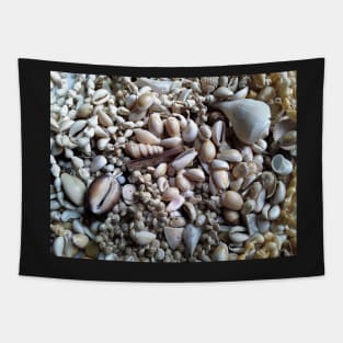 Sea of Shells Tapestry