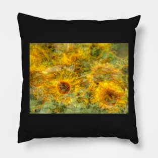 Sunflower, sunflower, abstract, (Helianthus annuus) Pillow