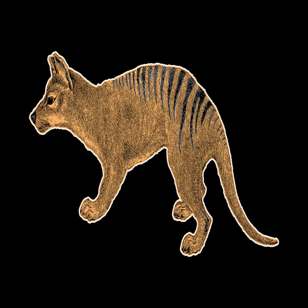 Thylacine or Tasmanian Tiger by encycloart