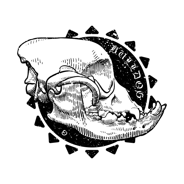 Bulldog skull by StefanAlfonso