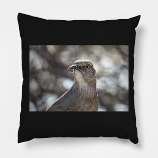 Curve billed thrasher's portrait Pillow