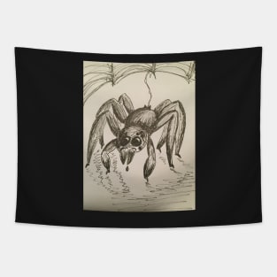 Spider with Web Tapestry