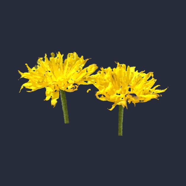 A pair of yellow flowers. No writing by Lively Nature