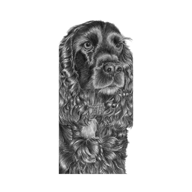 English Cocker spaniel - black by doggyshop