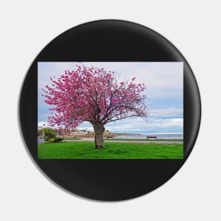 Lynn Shore Drive Spring Cherry Blossoms Lynn MA Pin