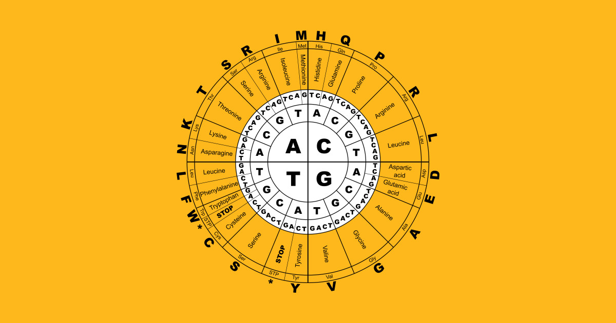 DNA The Circle of Life Dna TShirt TeePublic