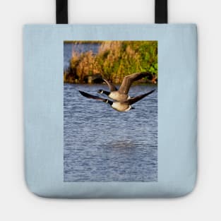 Canada Geese in flight Tote