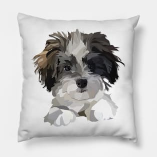 Cute Cavachon Maltese Poodle Mix Dog Pillow