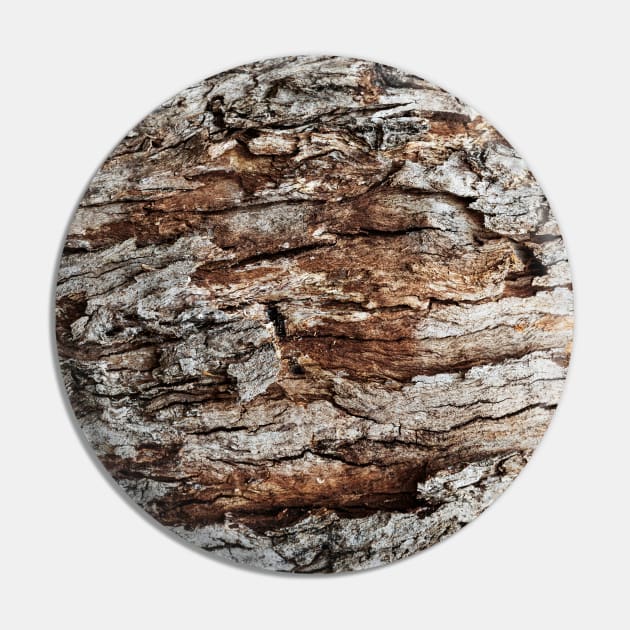 Rustic Orange & Brown Tree Trunk - Alternative Pin by textural